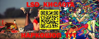 крисы Будённовск